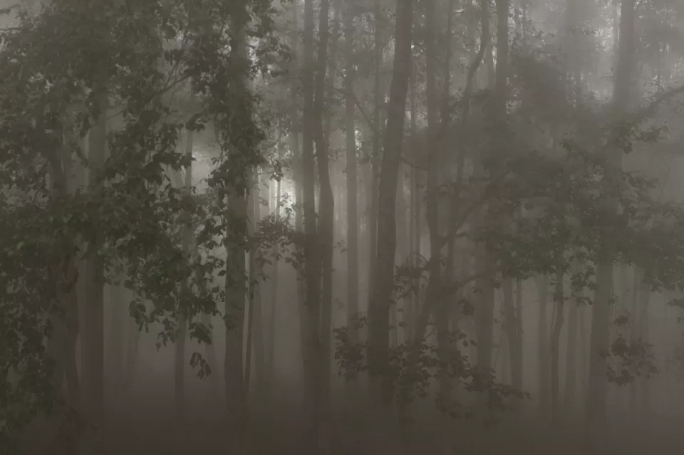 Photo of Pillar Rocks Road, Kodaikanal, Tamil Nadu, India by Akshansh Singh
