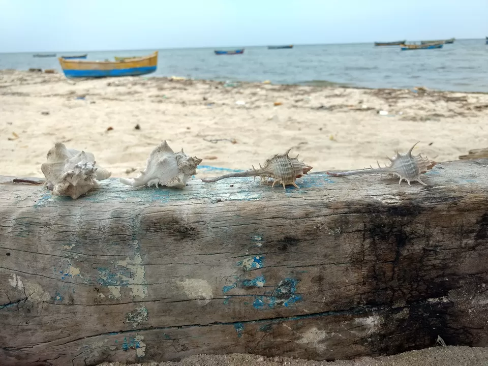 Photo of Rameswaram, Tamil Nadu, India by Akshansh Singh