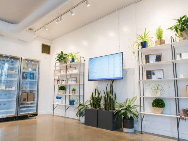 Photo of Cannabis Dispensary Eugene 1/1 by Serra Dispensary Eugene