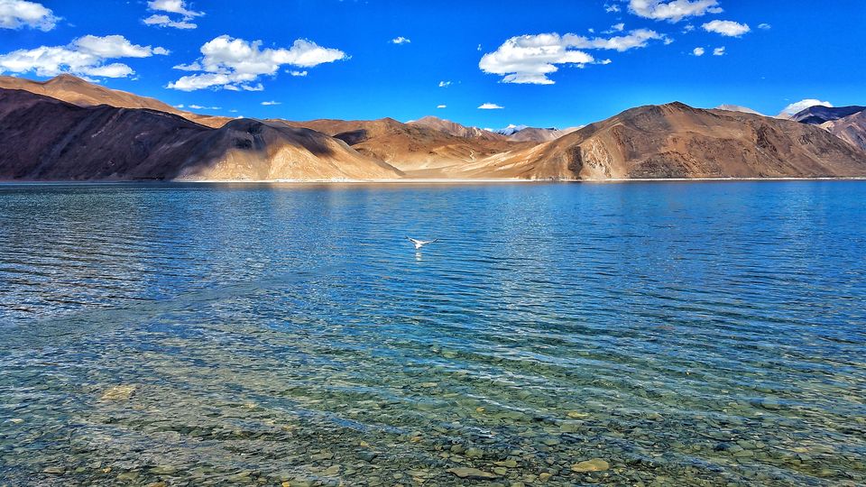 Photo of Karu by Tanuj Malhotra