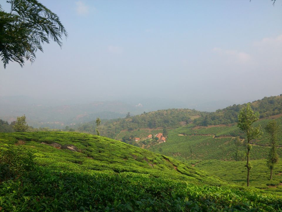 Photo of Trekking to Chembra Peak,Wayanad 2/6 by KADIRI SHAD