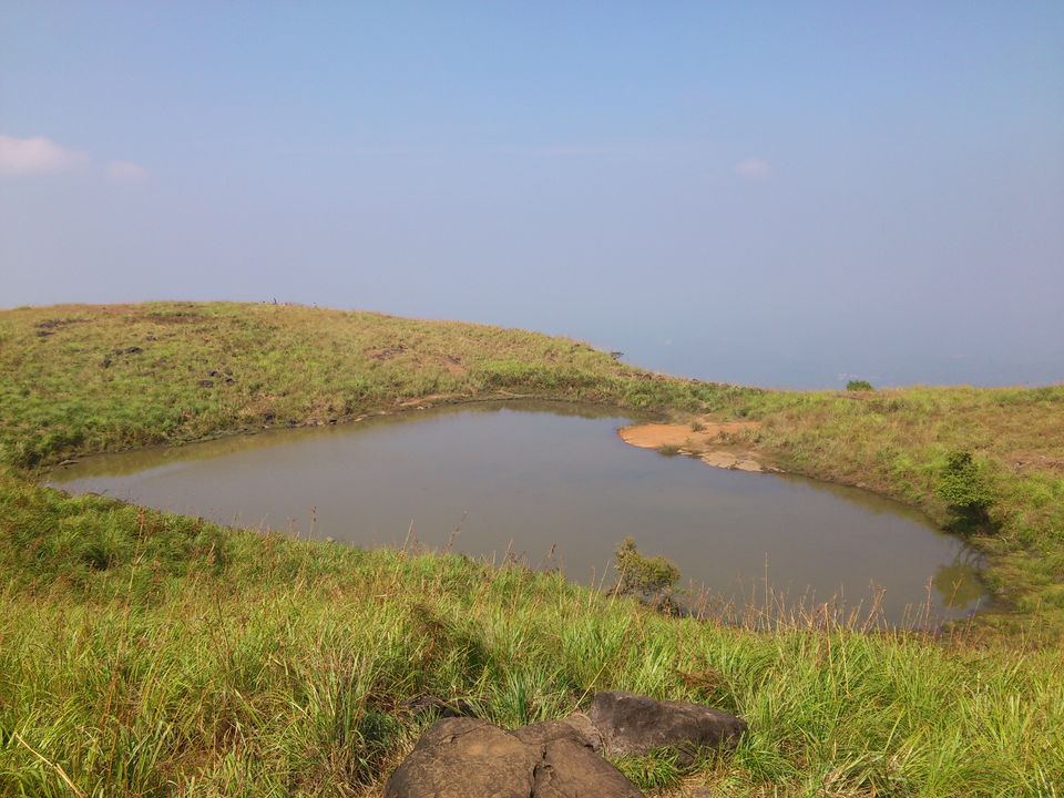 Photo of Trekking to Chembra Peak,Wayanad 4/6 by KADIRI SHAD