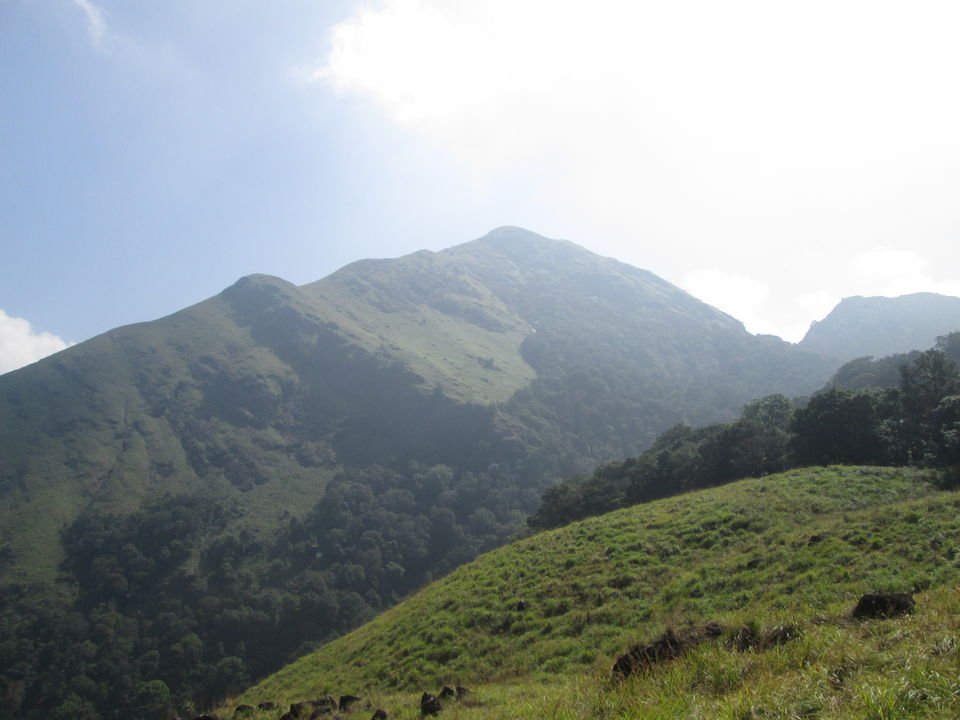 Photo of Trekking to Chembra Peak,Wayanad 5/6 by KADIRI SHAD