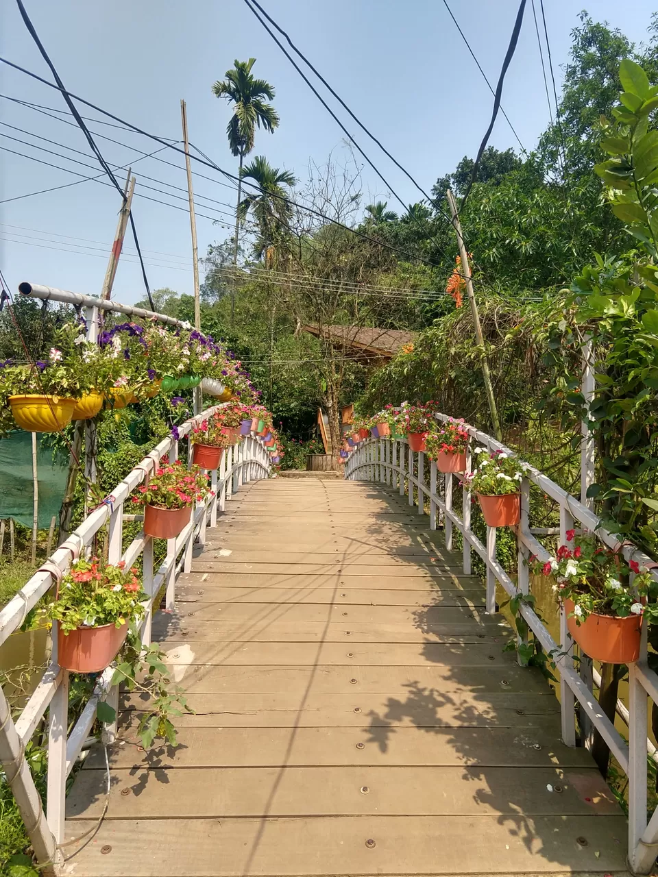 Photo of Panacea - The Village, Sonapur Pathar, Assam, India by Abhishek Bora