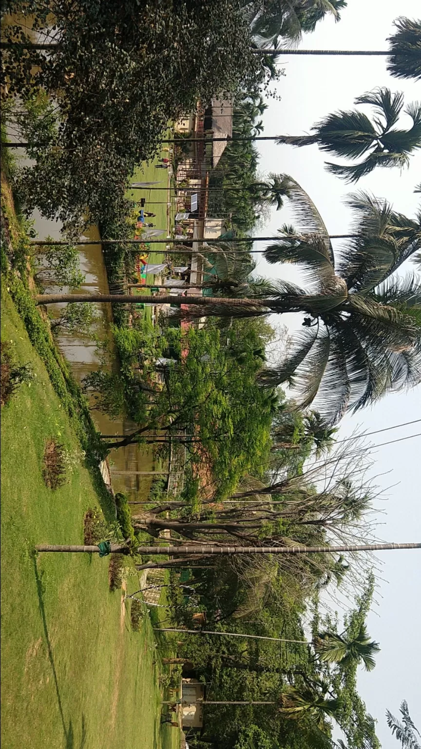Photo of Panacea - The Village, Sonapur Pathar, Assam, India by Abhishek Bora