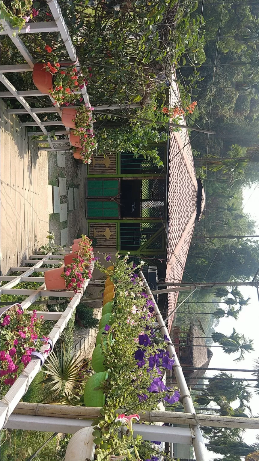 Photo of Panacea - The Village, Sonapur Pathar, Assam, India by Abhishek Bora