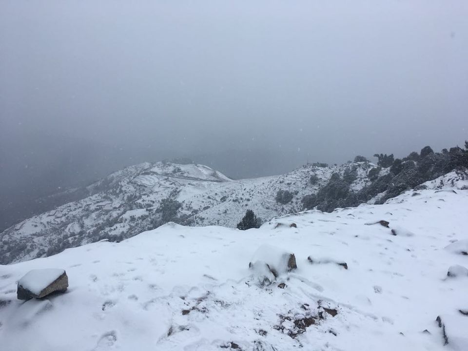 Photo of Bir-Billing to Barot Trek - How it changed me from a party animal to a beginner mountaineer | Part 1 by Vittalacharya Vandavasu
