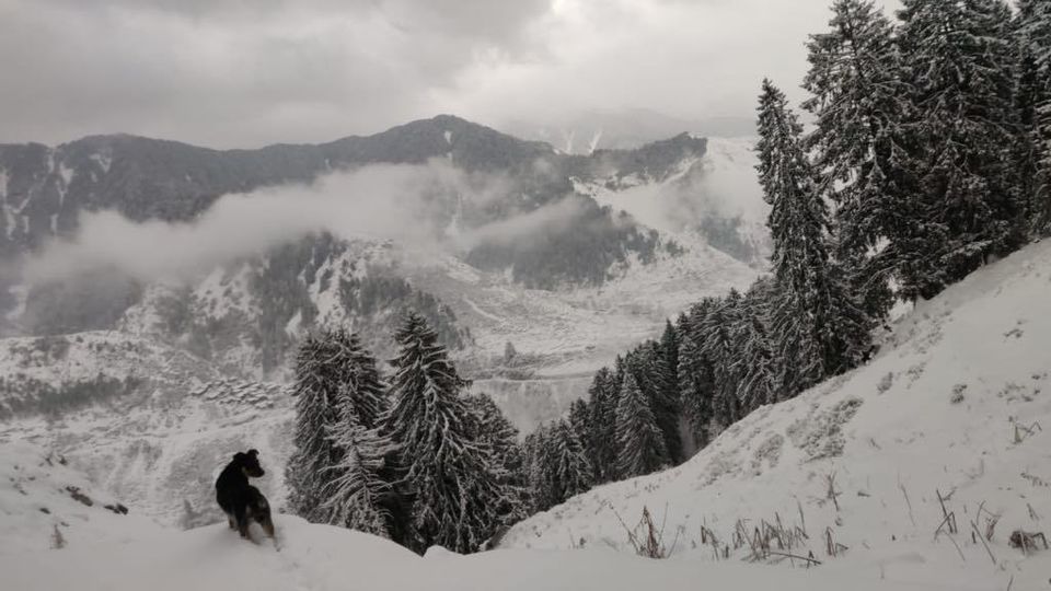 Photo of Biling, Himachal Pradesh, India by Vittalacharya Vandavasu