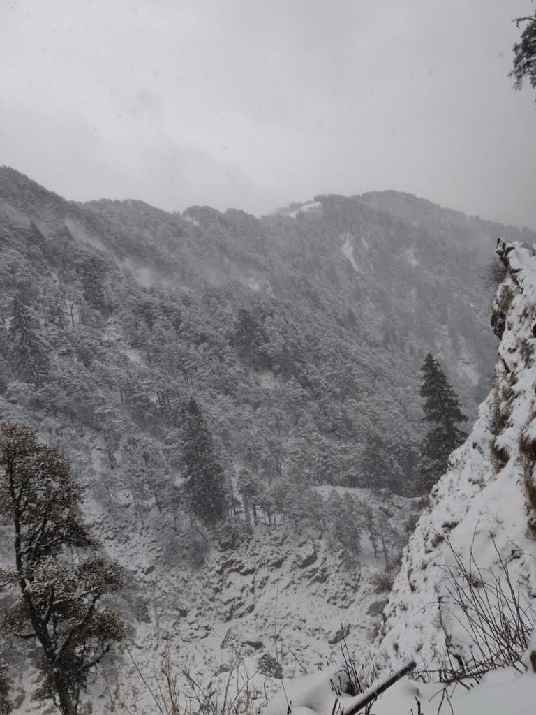Photo of Bir-Billing to Barot Trek - How it changed me from a party animal to a beginner mountaineer | Part 1 by Vittalacharya Vandavasu
