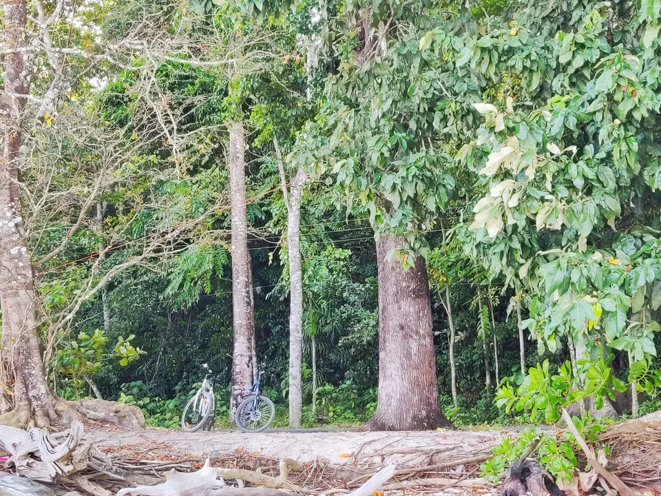 Photo of A Beachy Jaunt in Andaman by Sathvik Shetty