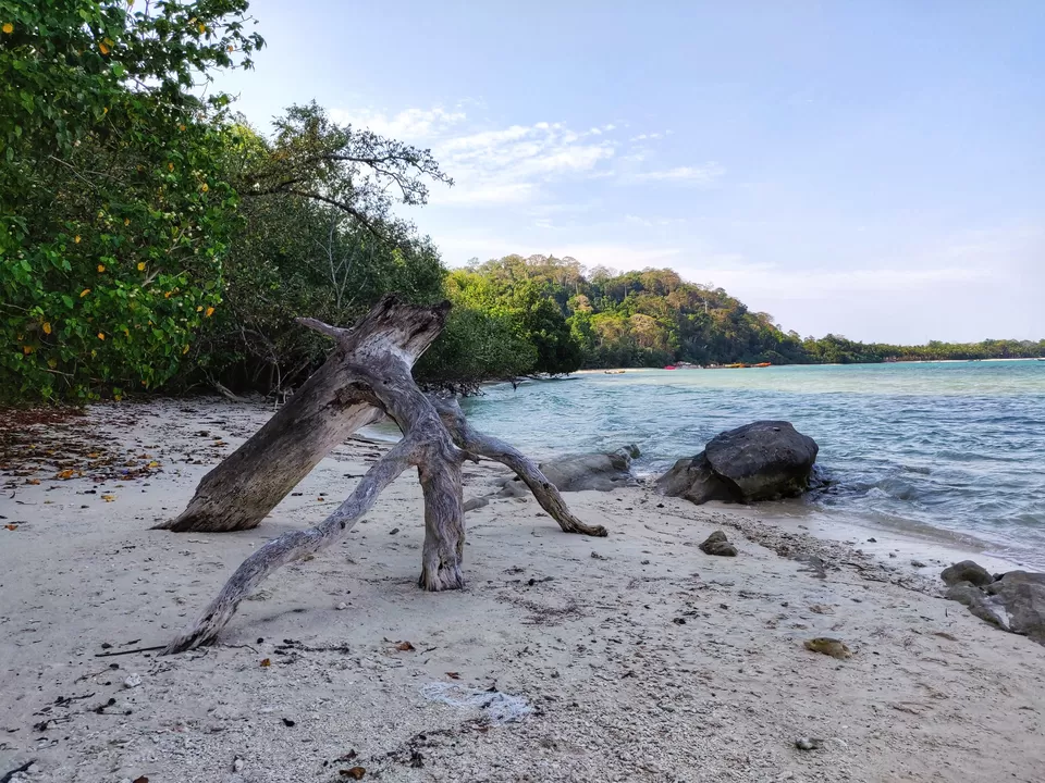 Photo of A Beachy Jaunt in Andaman by Sathvik Shetty