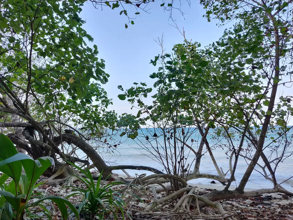 Photo of Kalapathar Beach, Andaman and Nicobar Islands, India by Sathvik Shetty