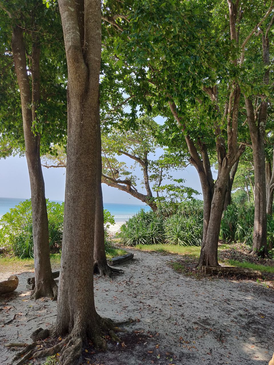 Photo of Havelock Island, Andaman and Nicobar Islands by Sathvik Shetty