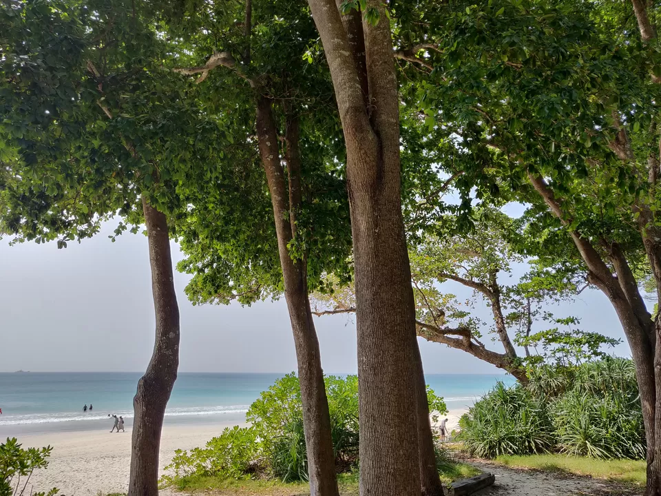 Photo of A Beachy Jaunt in Andaman by Sathvik Shetty
