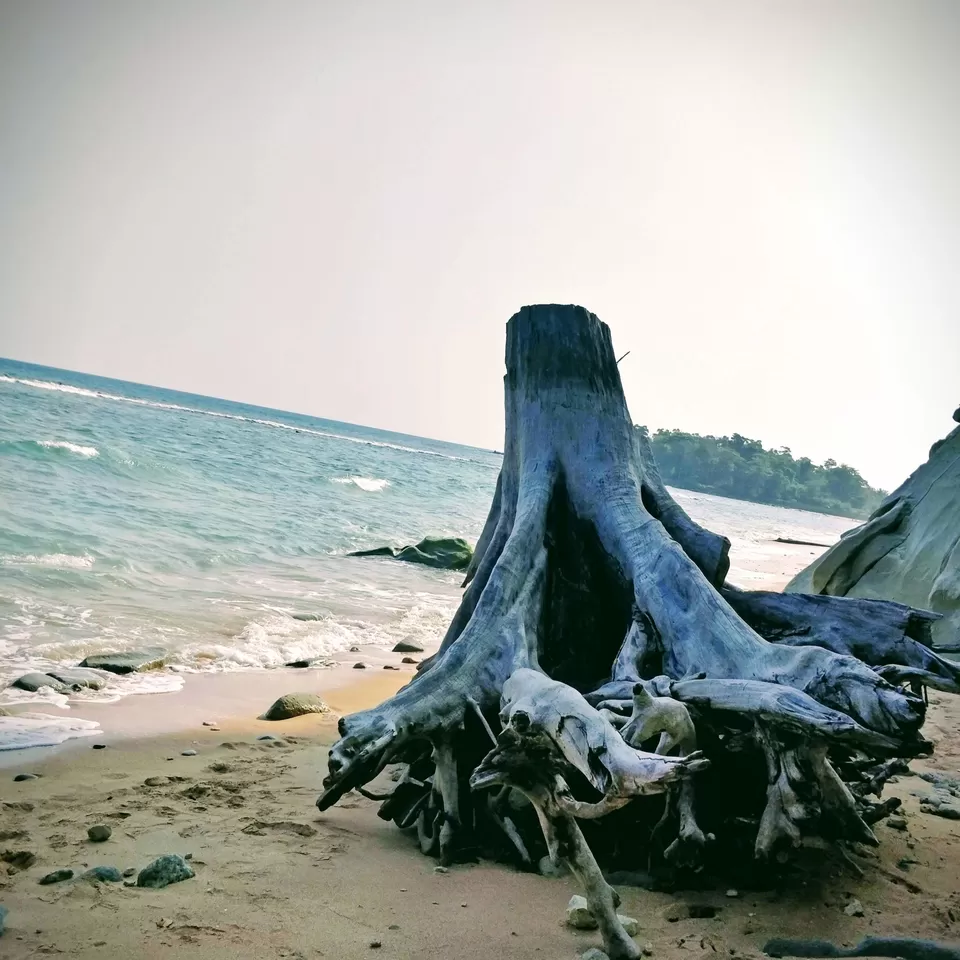 Photo of Sitapur, Andaman and Nicobar Islands, India by Sathvik Shetty
