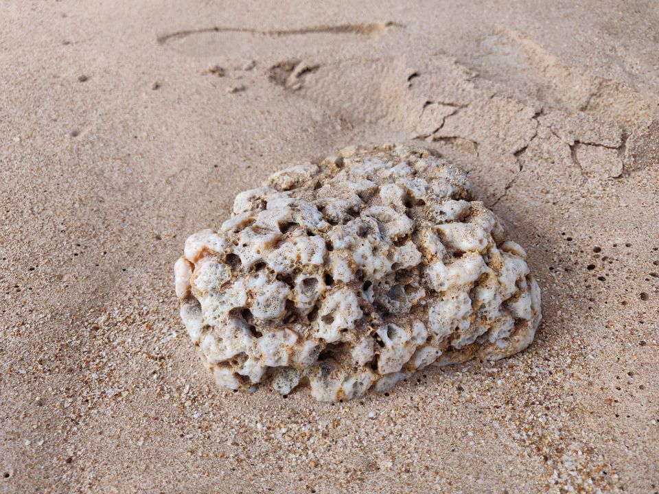 Photo of A Beachy Jaunt in Andaman by Sathvik Shetty