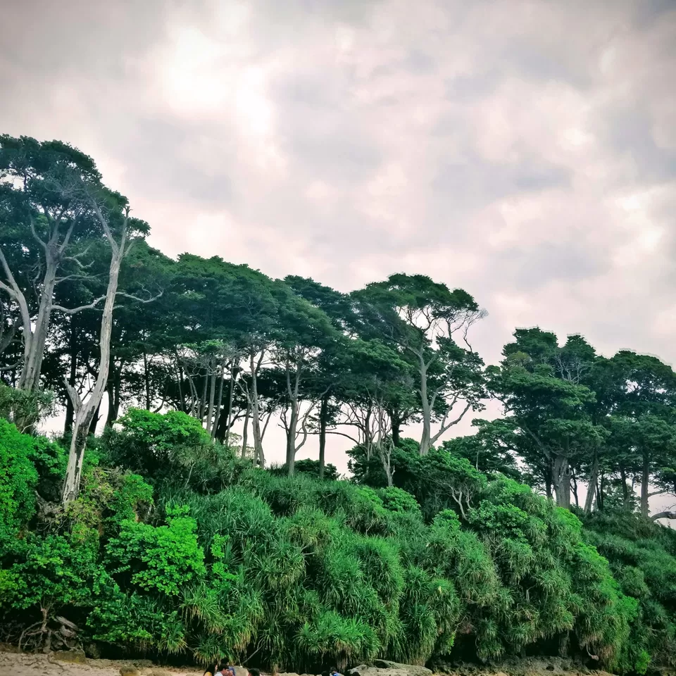 Photo of Laxmanpur Beach No 1, Village Road, Lakshmanpur, Andaman and Nicobar Islands, India by Sathvik Shetty