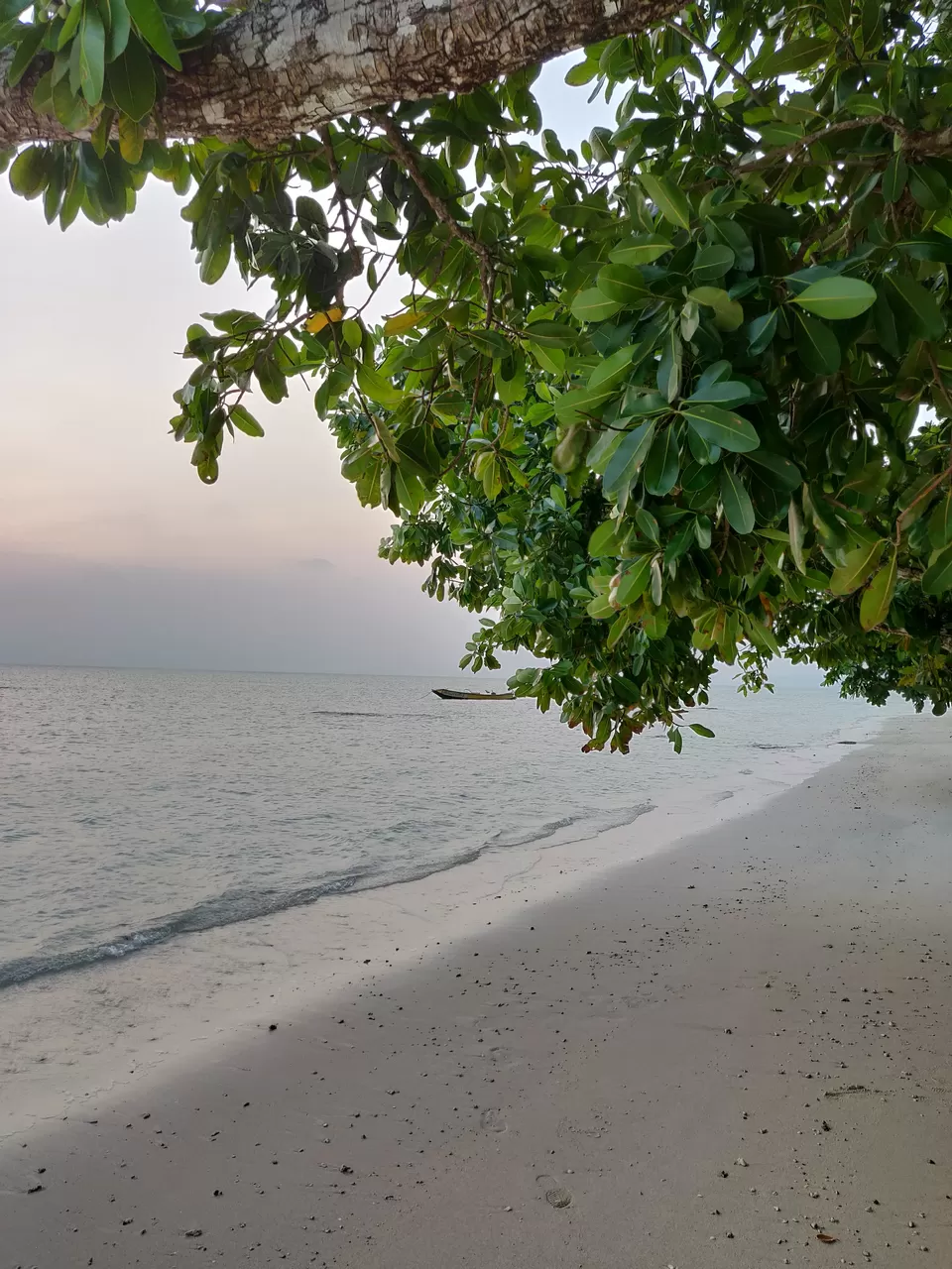Photo of Port Blair, Andaman and Nicobar Islands, India by Sathvik Shetty