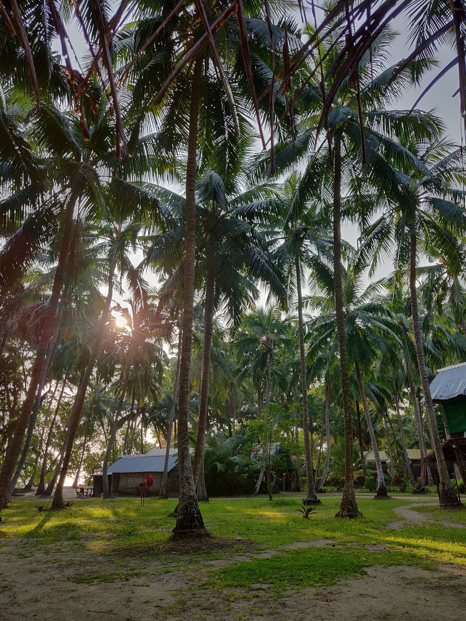 Photo of Port Blair, Andaman and Nicobar Islands, India by Sathvik Shetty
