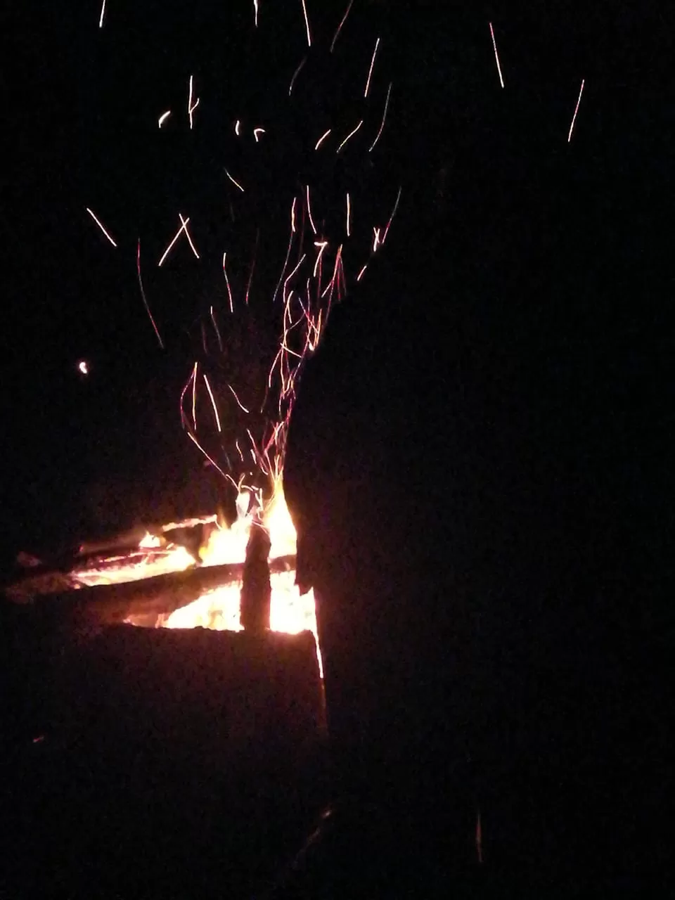 Photo of From Staying in Huts to Getting Chased by Thugs - An Adventurous Auroville Tale by Vishal Aryan Komara