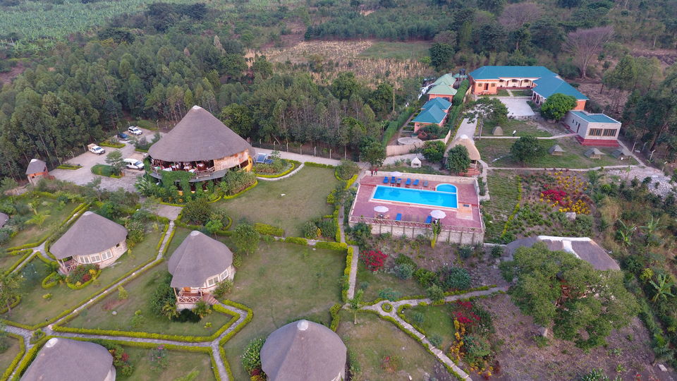 Photo of 7 Days and 6nights wildlife safari to Uganda with Gorilla and Chimpanzee trekking by Kalema Robert