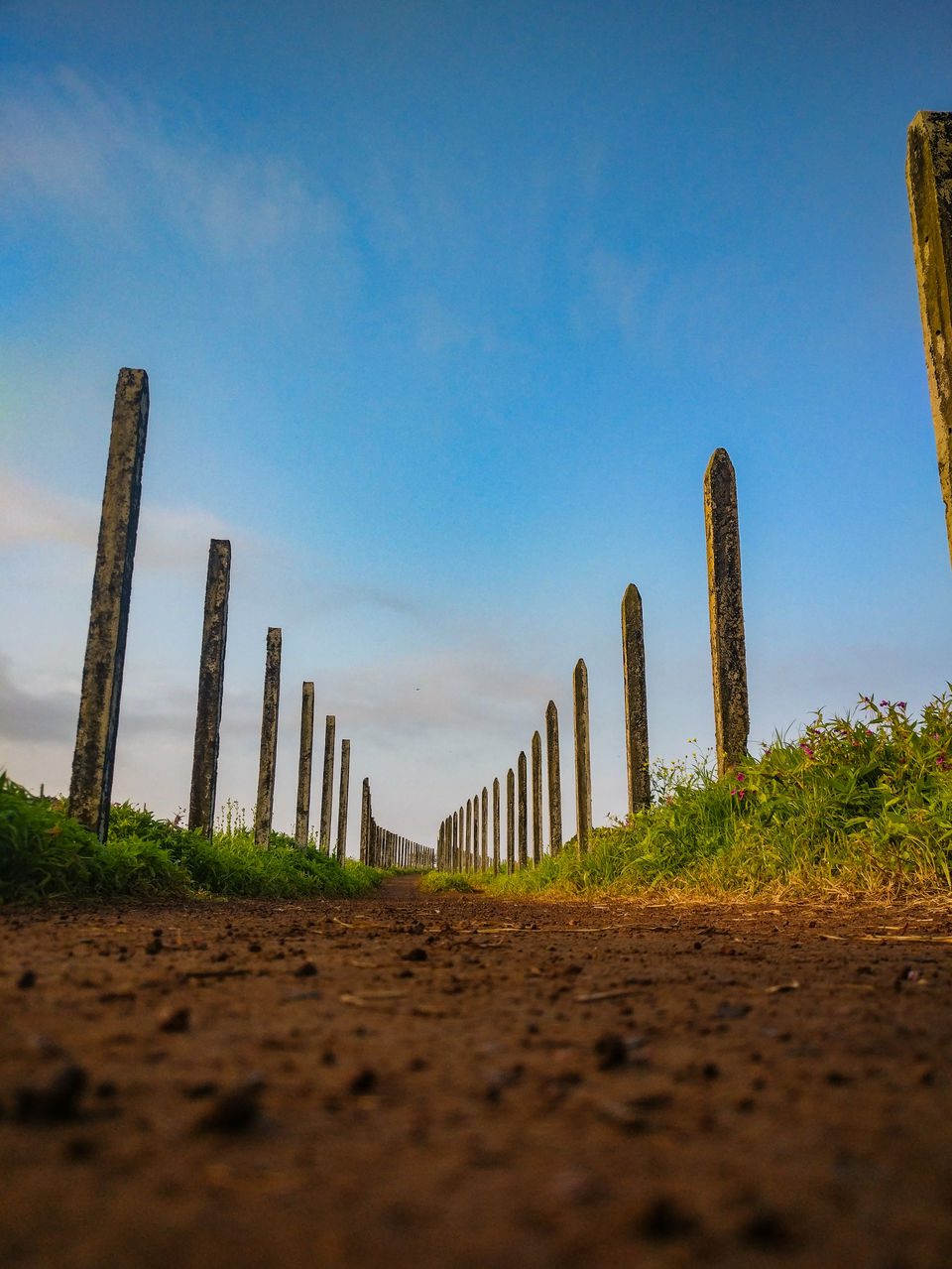 Photo of A day trip to Maharashtra’s Valley of Flower! 6/11 by Niyati Chaudhary