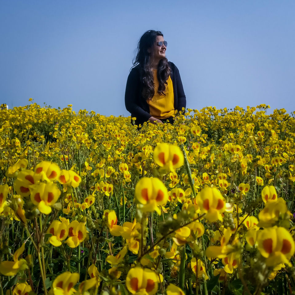 Photo of A day trip to Maharashtra’s Valley of Flower! 4/11 by Niyati Chaudhary
