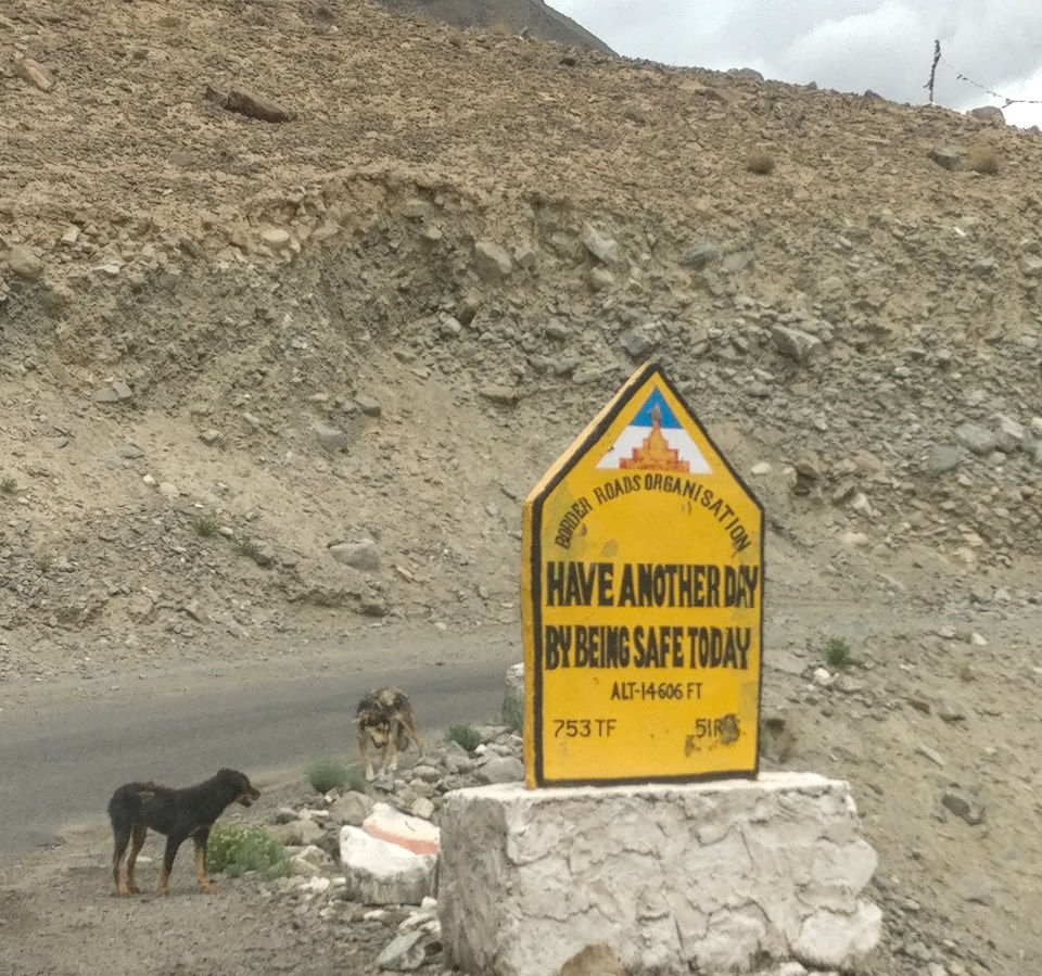 Photo of Ladakh is not just about mountains and snow!! 19/25 by Niyati Chaudhary