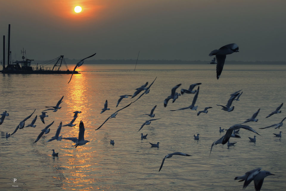Photo of Gangasagar, South 24 Parganas, West Bengal, India by Plaban Bhattacharya