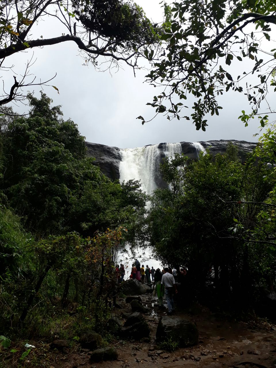 Photo of Athirappilly Water Falls, Kerala, India by Vuthra Pushparaj