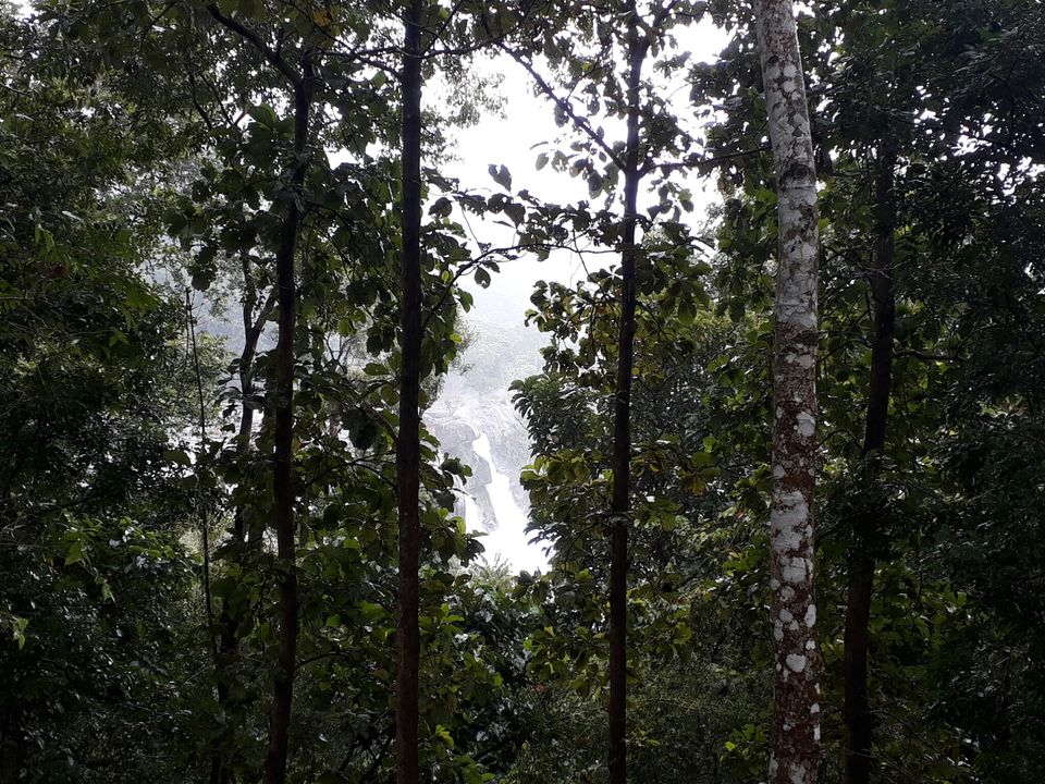 Photo of Athirappilly Water Falls, Kerala, India by Vuthra Pushparaj