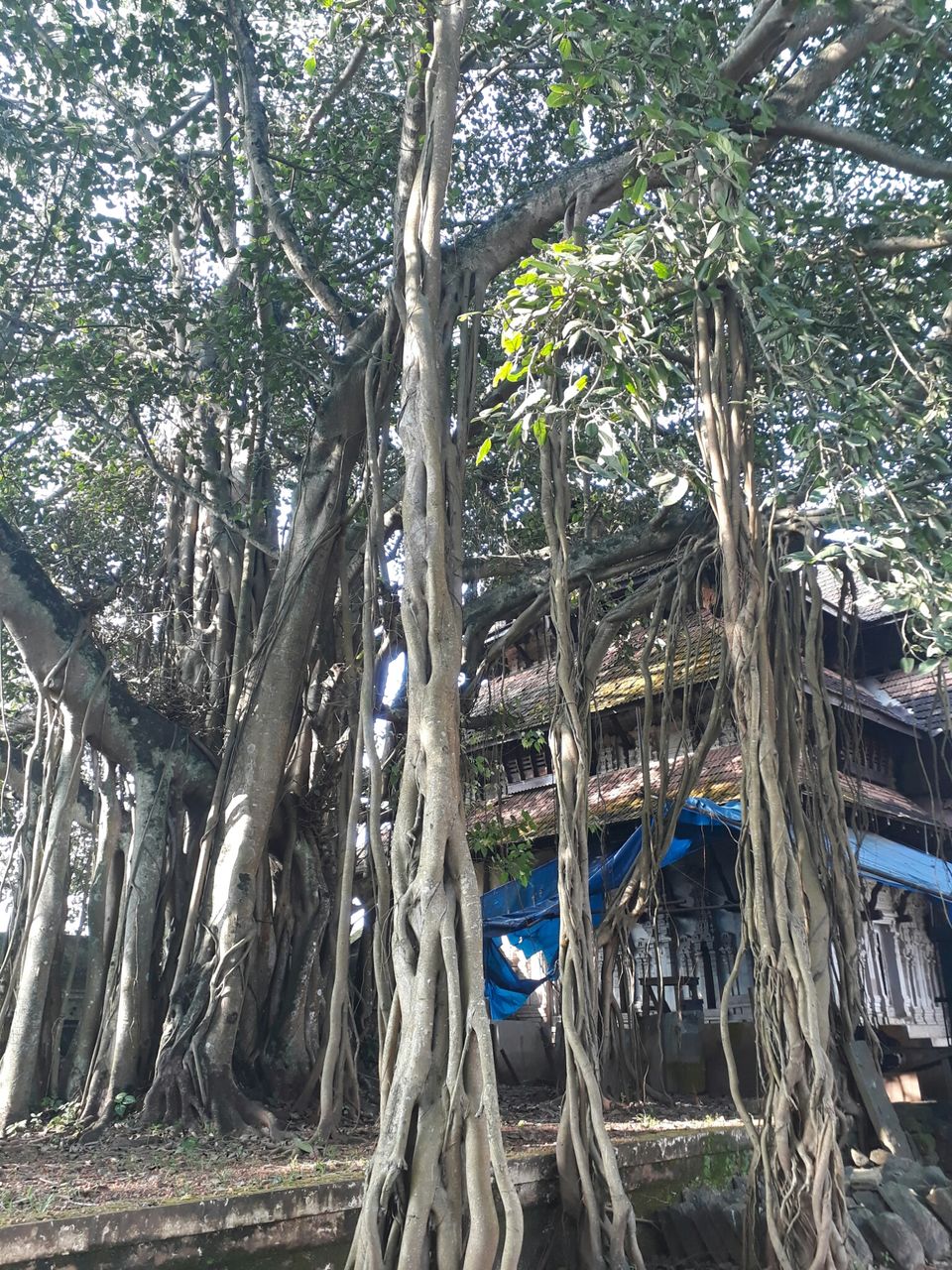 Photo of Vadakkunnathan Shiva Temple, Thrissur, Kerala, India by Vuthra Pushparaj
