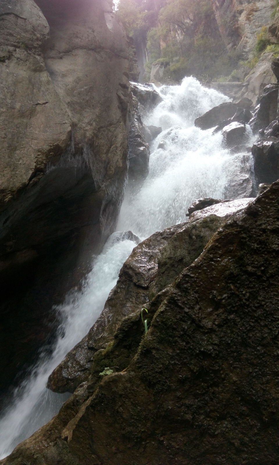 Photo of Kasol!!! a heavenly paradise 23/30 by Prem Sagar Gs