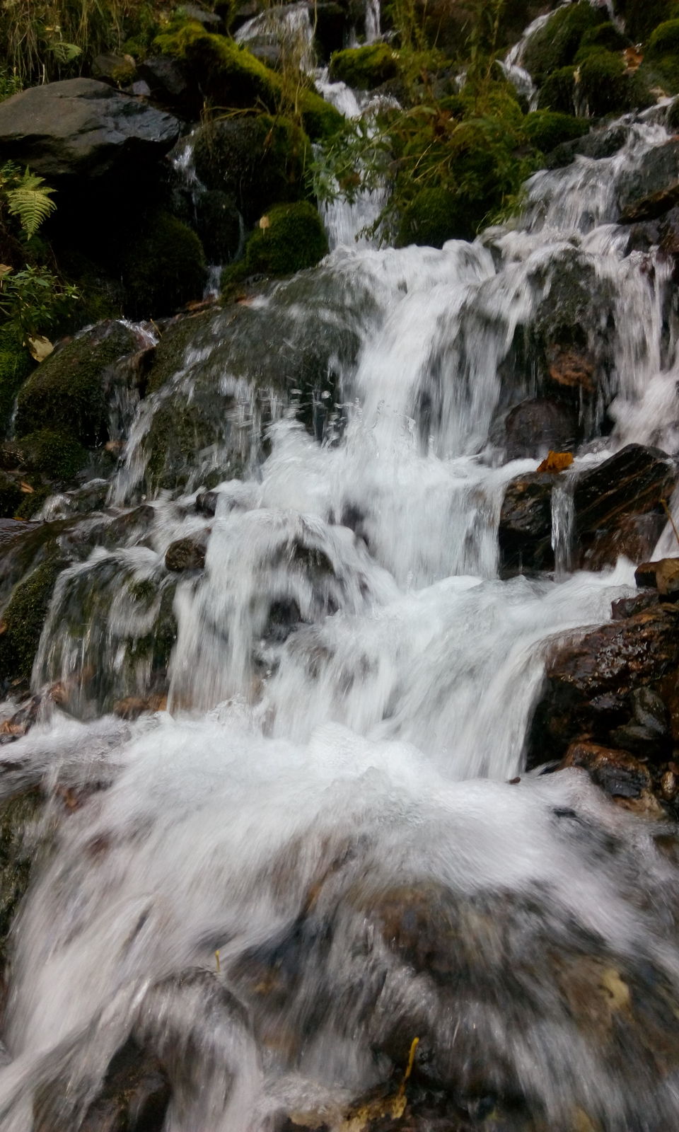 Photo of Kasol!!! a heavenly paradise 25/30 by Prem Sagar Gs