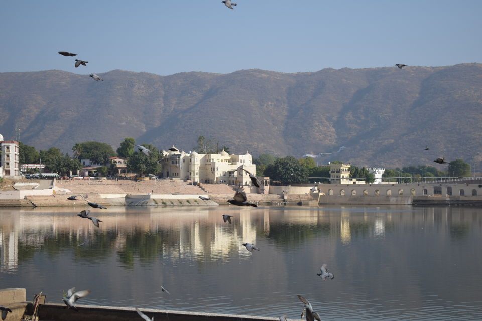 Photo of Pushkar, Rajasthan, India by Prem Sagar Gs