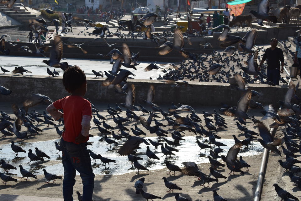 Photo of Pushkar, Rajasthan, India by Prem Sagar Gs