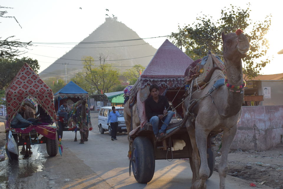 Photo of Pushkar, Rajasthan, India by Prem Sagar Gs