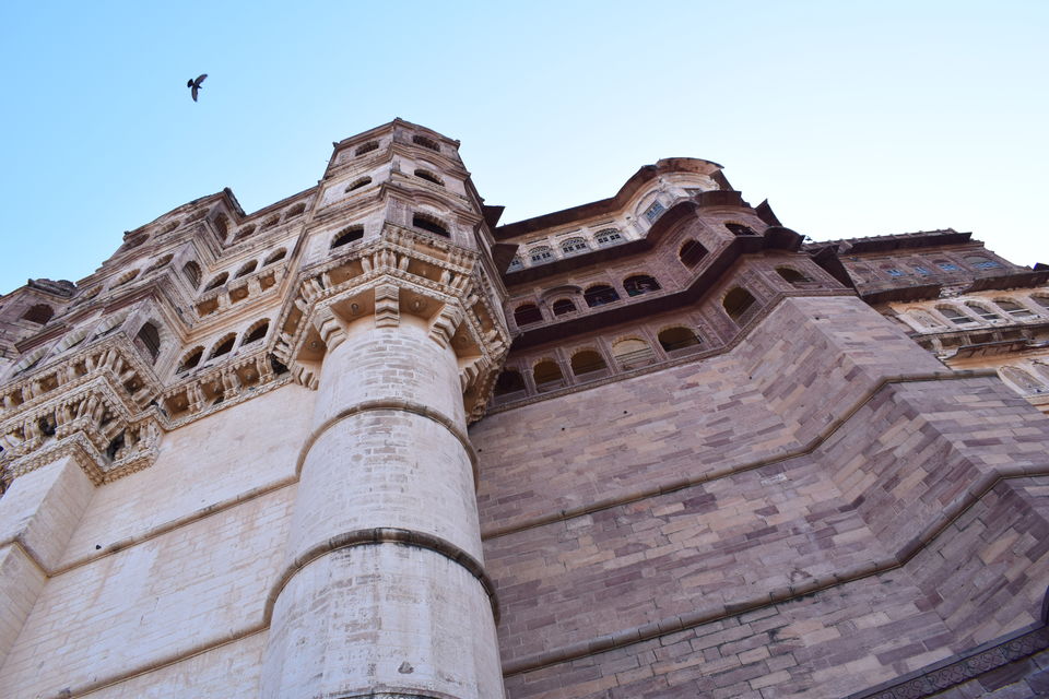 Photo of goStops Jodhpur (Stops Hostel Jodhpur), Bhadwasiya, Lawaran, Jodhpur, Rajasthan, India by Prem Sagar Gs