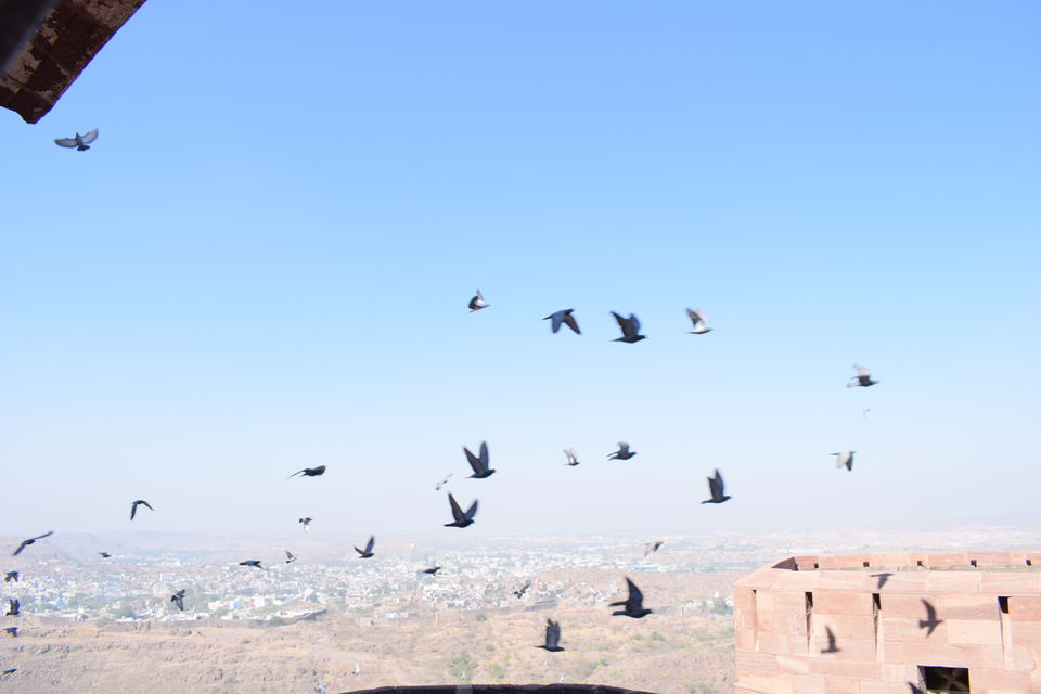 Photo of goStops Jodhpur (Stops Hostel Jodhpur), Bhadwasiya, Lawaran, Jodhpur, Rajasthan, India by Prem Sagar Gs