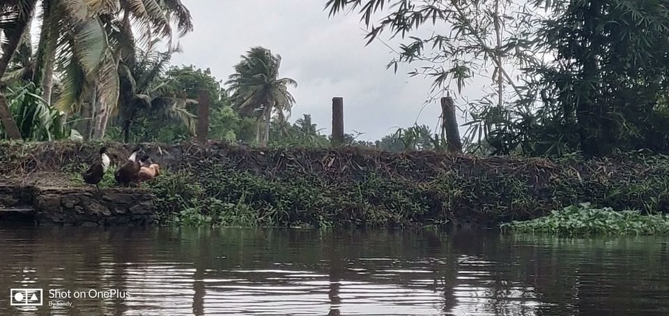 Photo of Puttu-kadala curry: A Kerala backpacking affair 12/27 by Sandy