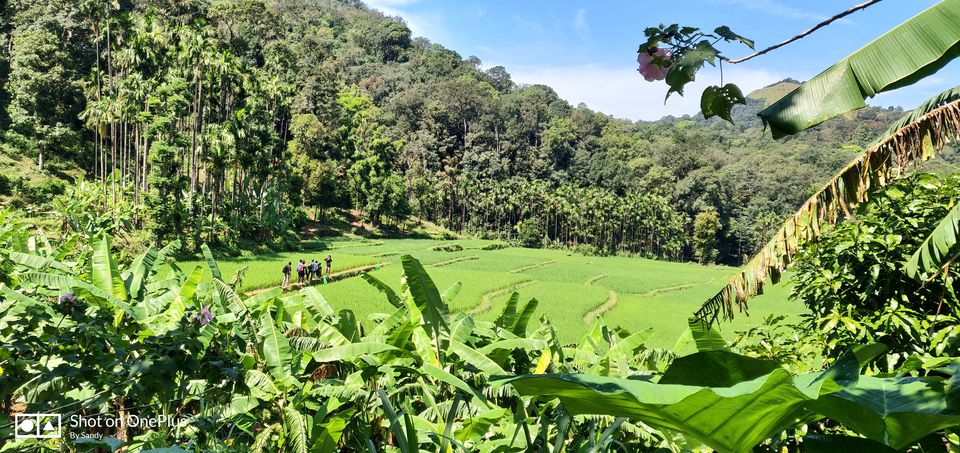 Photo of Escape to Kodachadri by Sandy