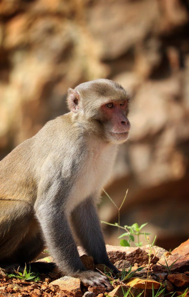 Photo of Unravelled Travel Stories : Odisha Canyon Lake!! by sangeeta