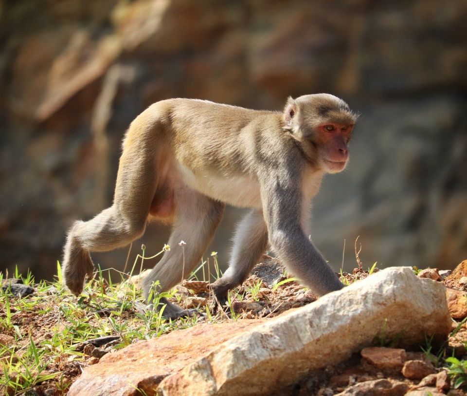 Photo of Unravelled Travel Stories : Odisha Canyon Lake!! by sangeeta