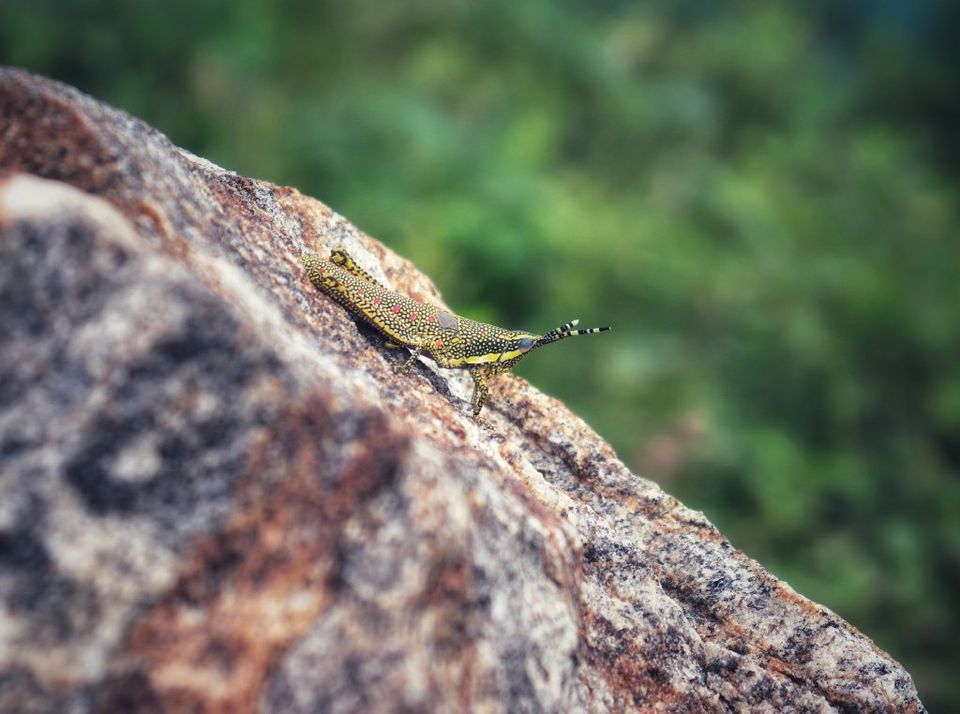 Photo of Unravelled Travel Stories : Odisha Canyon Lake!! by sangeeta