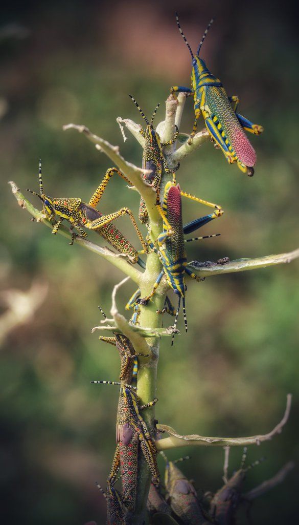 Photo of Unravelled Travel Stories : Odisha Canyon Lake!! by sangeeta
