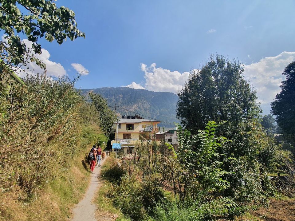 Photo of goSTOPS Manali, Old Manali, Manali, Himachal Pradesh, India by Divya Golyan