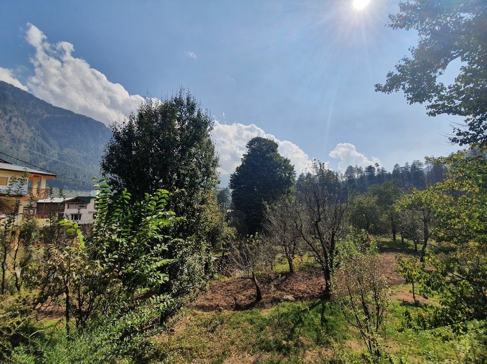 Photo of goSTOPS Manali, Old Manali, Manali, Himachal Pradesh, India by Divya Golyan
