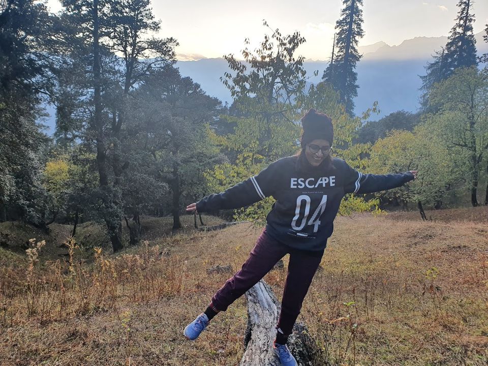 Photo of Workation 2020 - Day4: Brighu to Manali, back to work by Divya Golyan