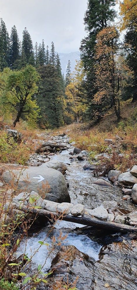 Photo of Bhrigu Lake Trek Start, Leh Manali Highway, Himachal Pradesh, India by Divya Golyan