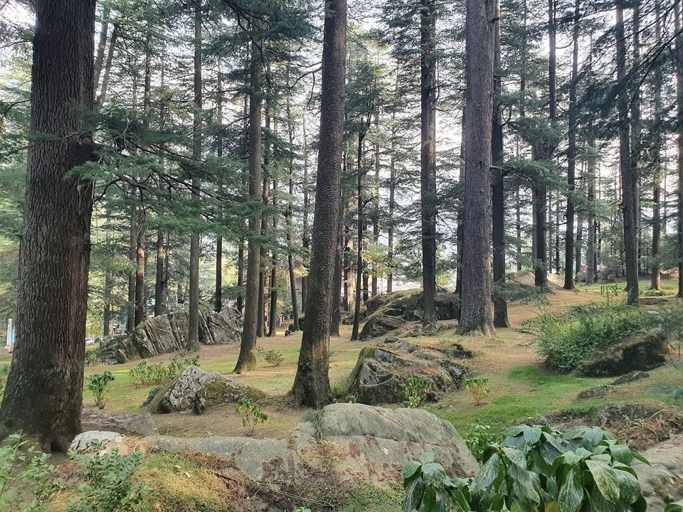Photo of Workation 2020 - Day7: Towards Lahaul Valley, through Atal Tunnel by Divya Golyan